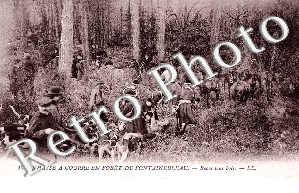Chasse a courre en foret - repos sous bois