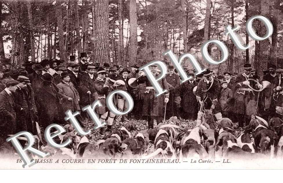 Chasse a courre en foret - La curee