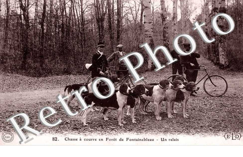 Chasse a courre en foret - un relais