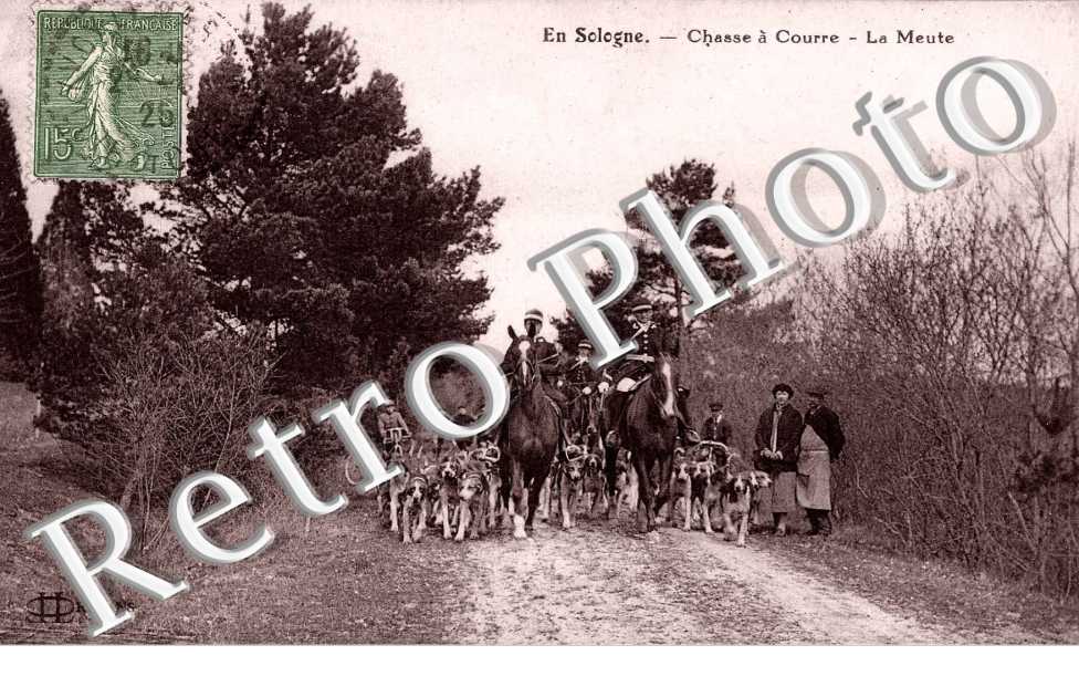chasse a cour la meute