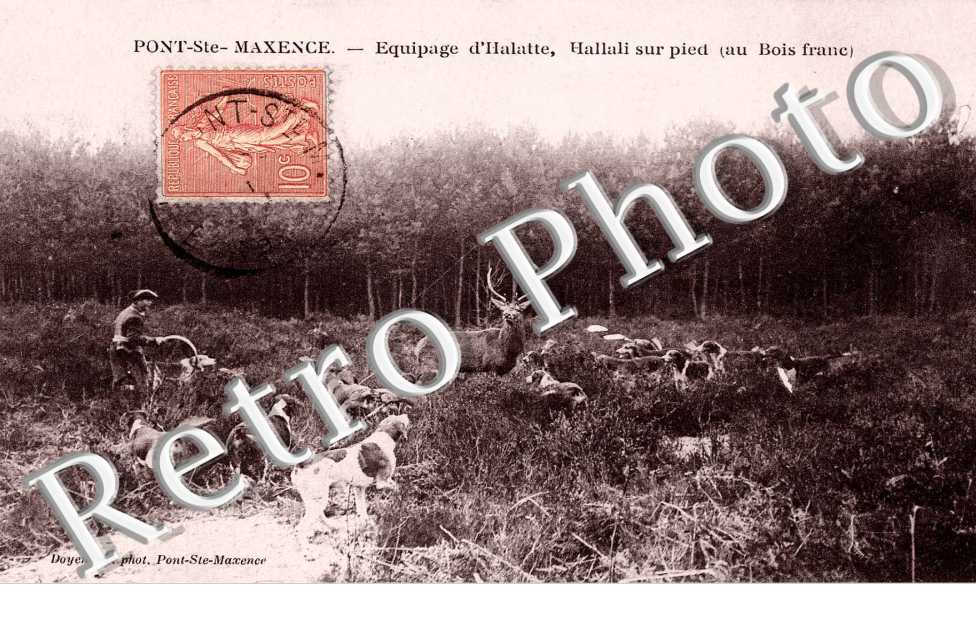 equipage d' halatte, hallali sur pied