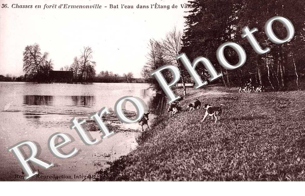chasses en foret d' Ermenonville