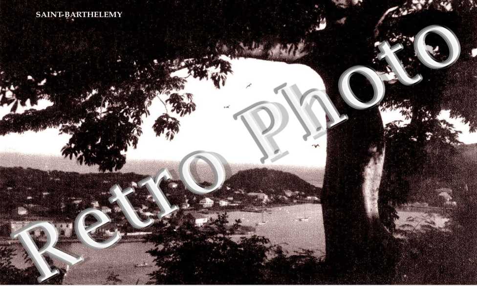 SAINT BARTHELEMY (971) (ARBRE A DROITE 1ER PLAN)