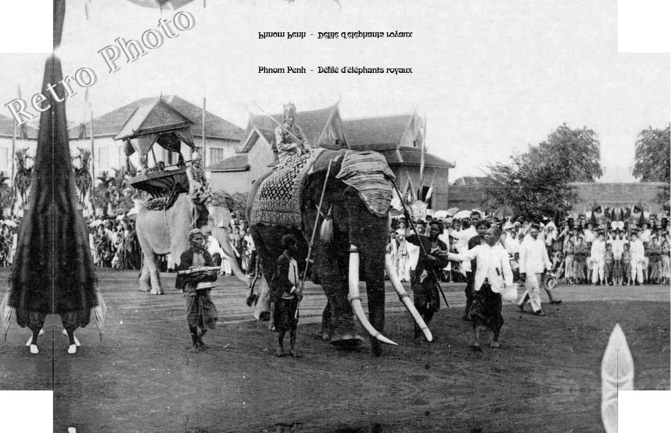 Défilé d'éléphants royaux