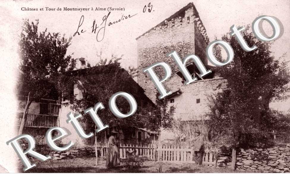 Chateau et Tour de Montmayeur