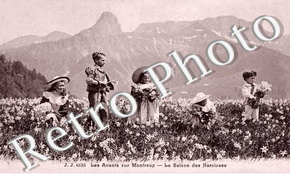 Les avants sur Montreux - La saison des Narcisses
