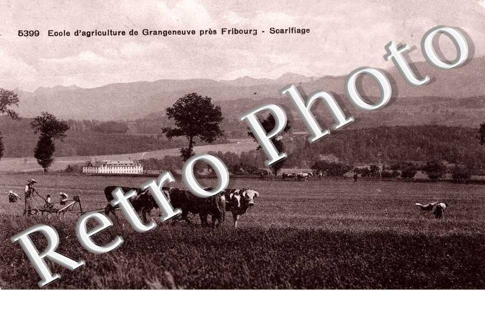 Ecole d'agriculture de Grangeneuve pres fribourg - scarifiage