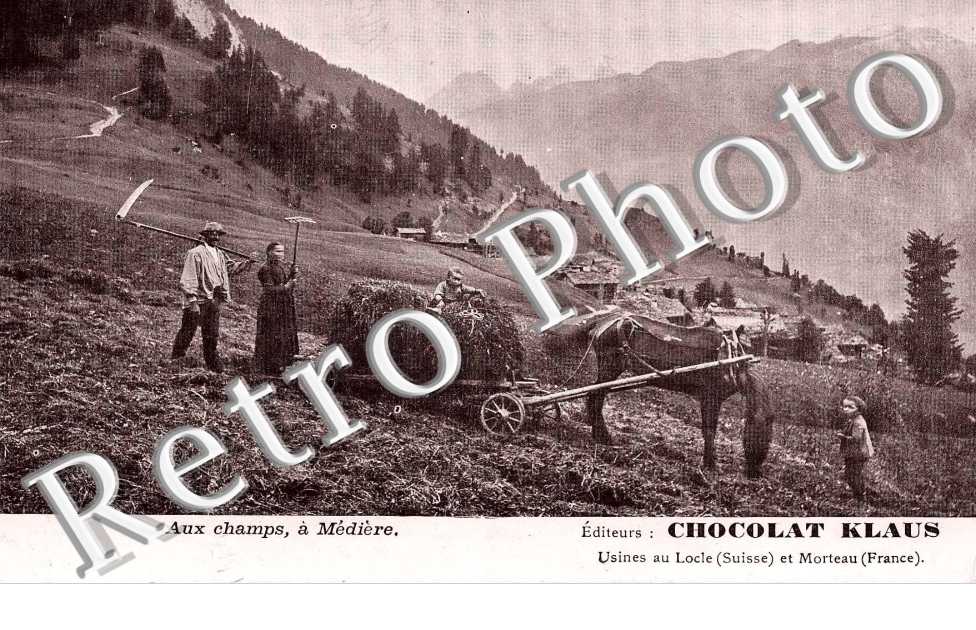 Vue des champs