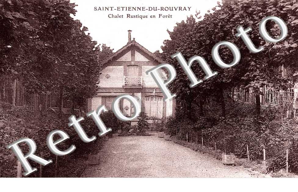 Chalet rustique en foret