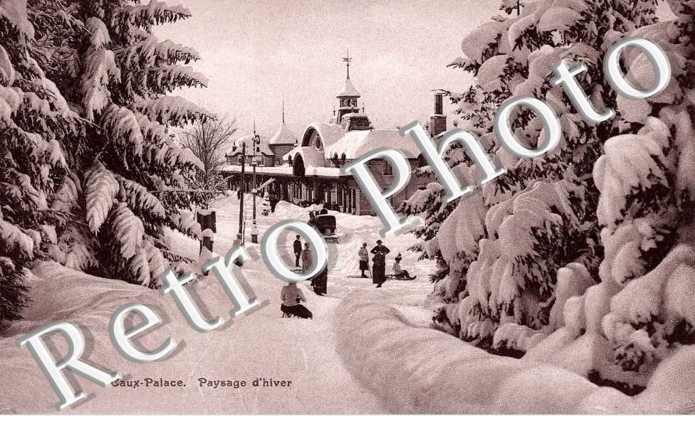 Caux Palace - paysage d'hiver