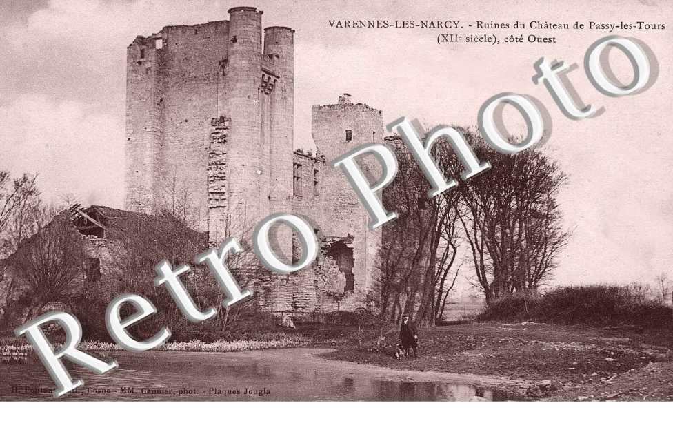 Ruines du Château de Passy les Tours