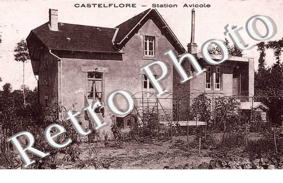 Castelflore Station Avicole