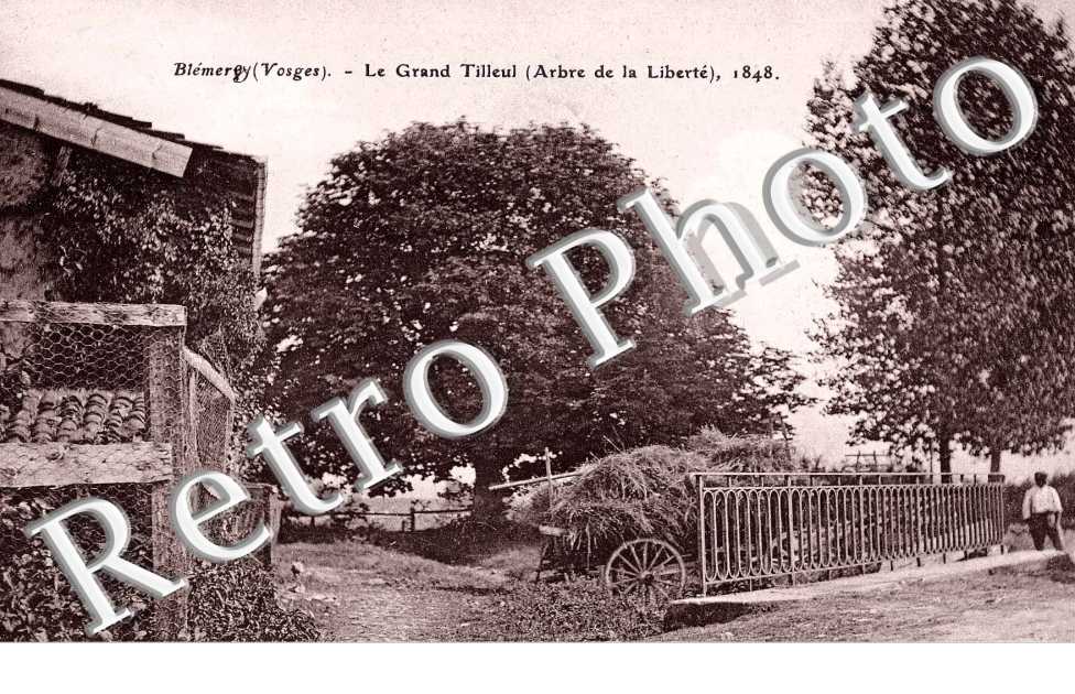 Le Grand tilleul