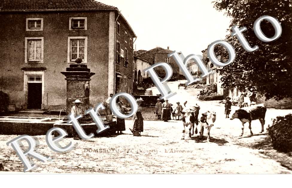 l'abreuvoir