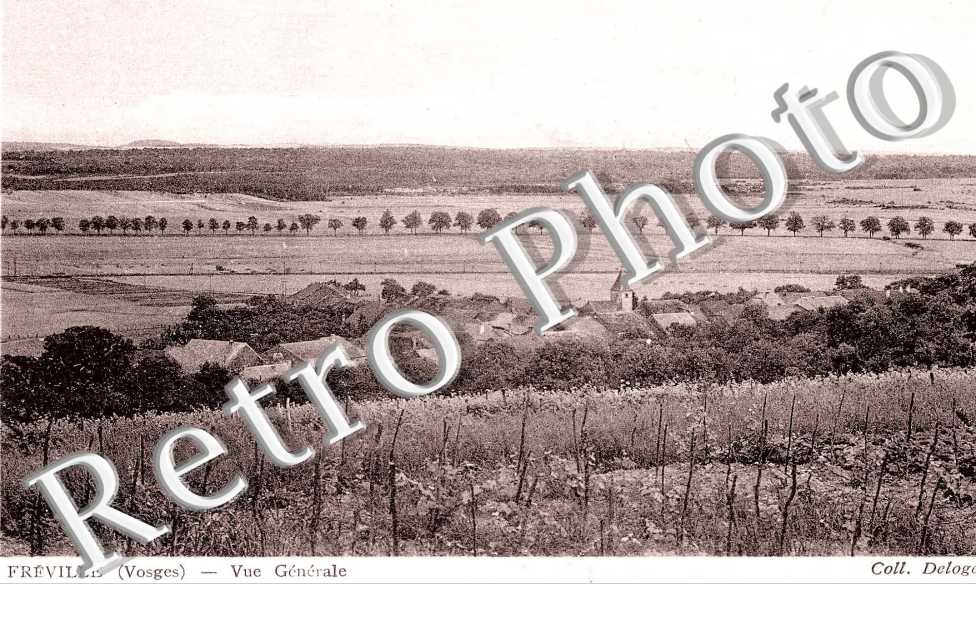 Vue generale