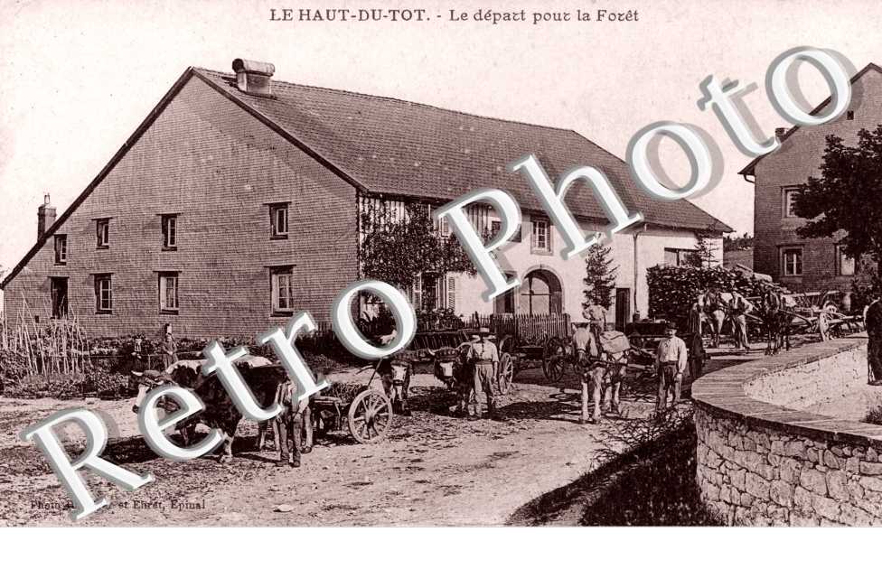 Le Haut du Tot, le Depart pour la Foret
