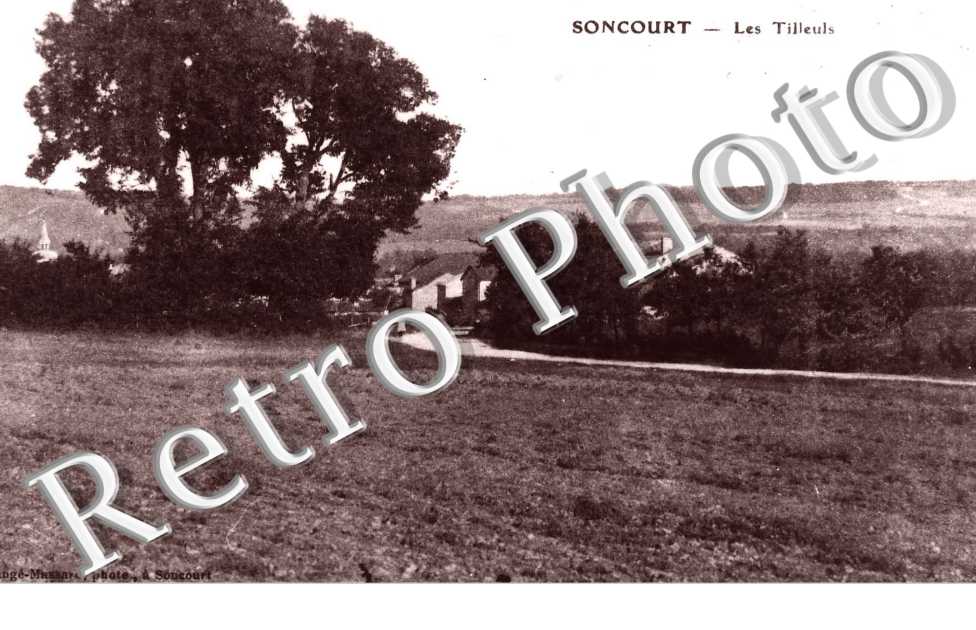 Les tilleuls