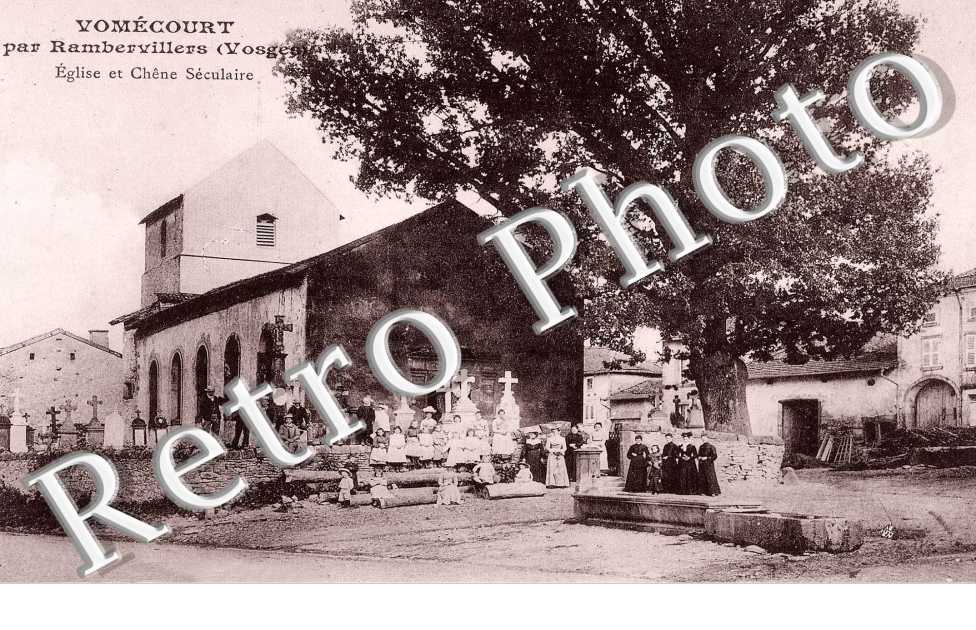 Eglise et Chêne Séculaire