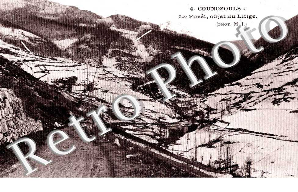 La forêt, objet du litige