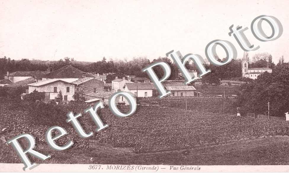 Vue generale
