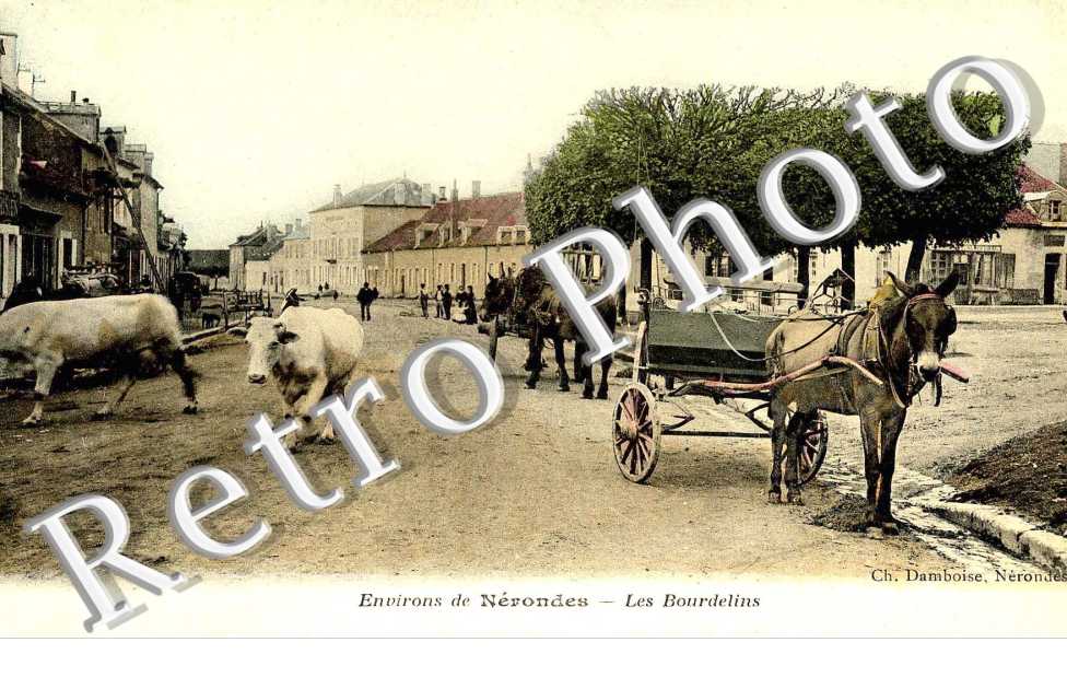 entree de Nerondes