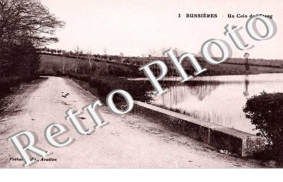 Un Coin de l'Etang