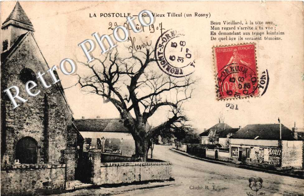 Vieux tilleul ( un Rosny)