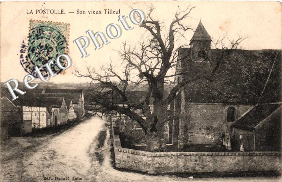 Son vieux tilleul