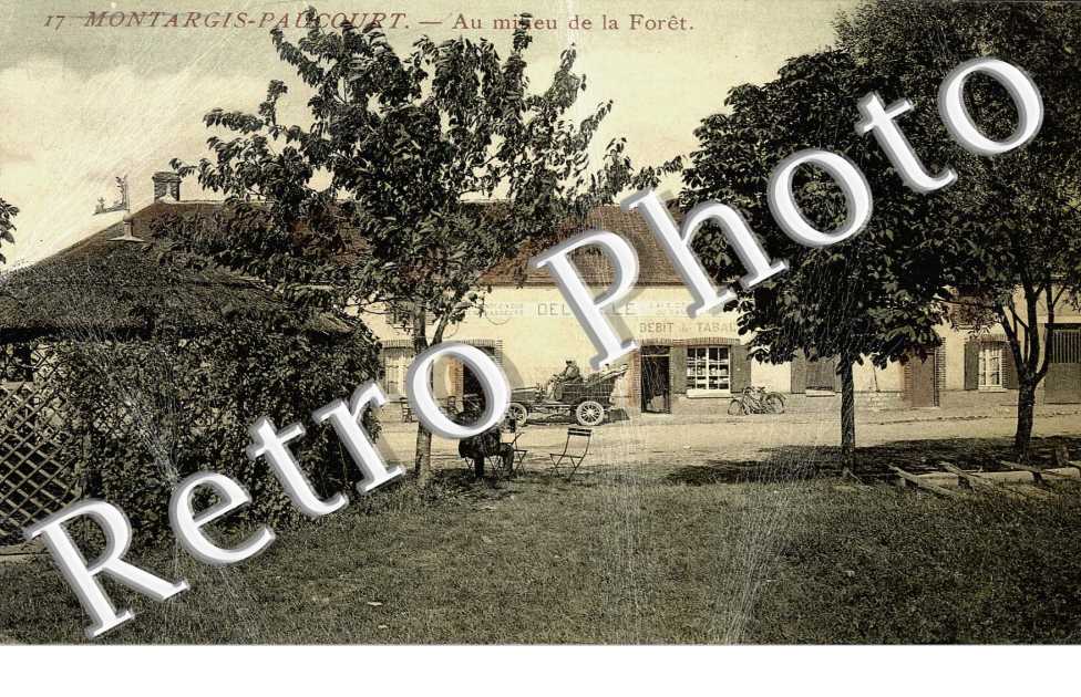 AU MILIEU DE LA FORET
