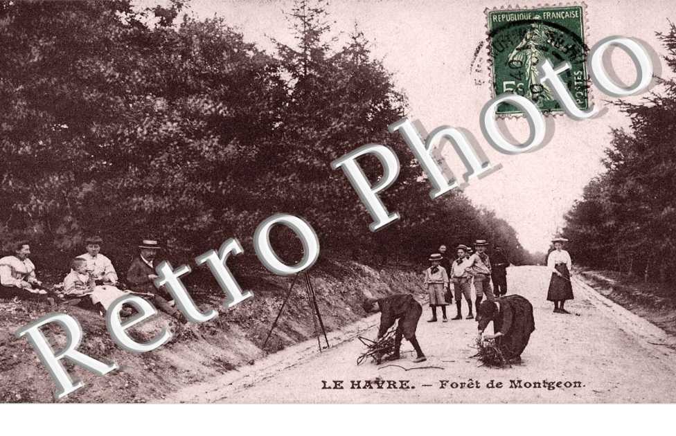 Forêt de Montgeon