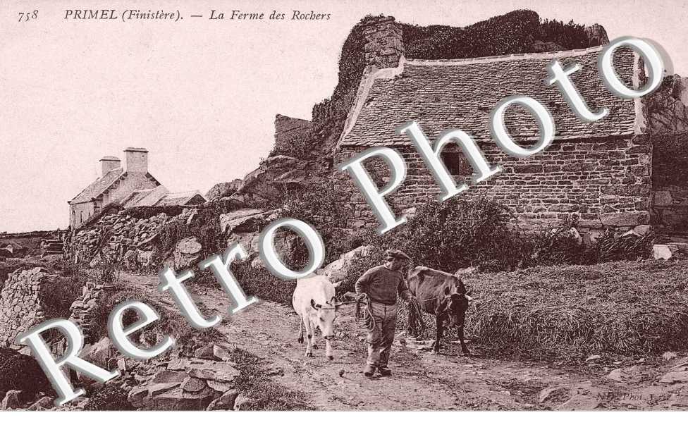Primel  La ferme des Rochers