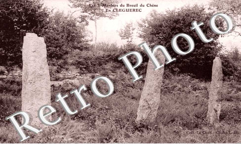 Les 3 Menhirs du Breuil du Chene