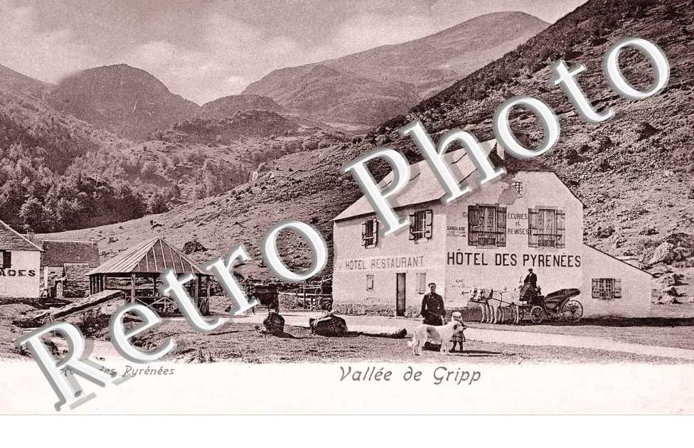 Hotel des pyrenees