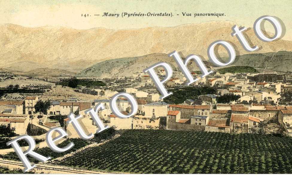 vue panoramique