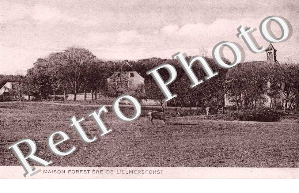 Maison forestiere de l'Elmersforst