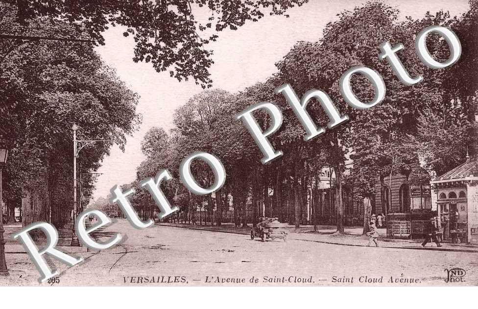 L'AVENUE DE SAINT CLOUD