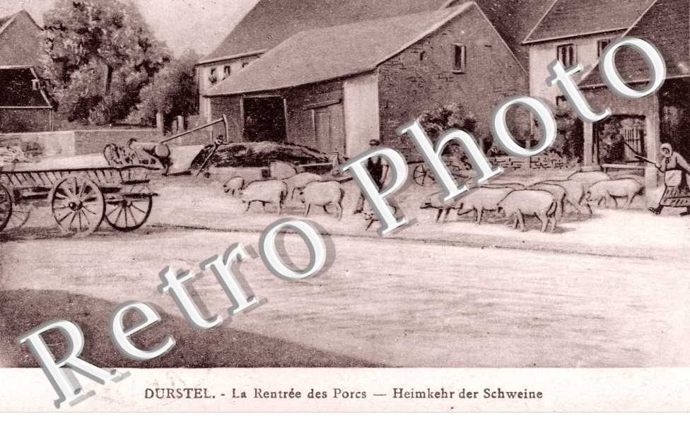 La Rentrée des Porcs