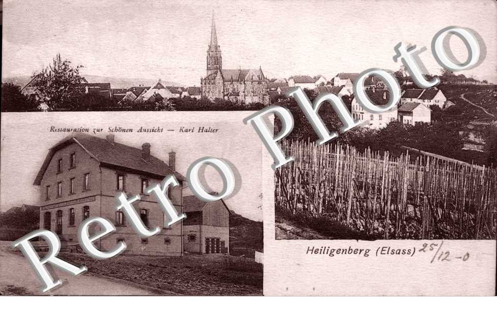 restauration zur Schonen Aussicht, Karl Halter