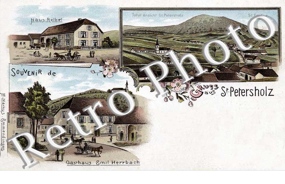 Dessin panoramique