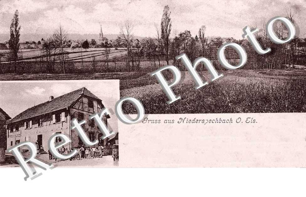Niederspechbach, Wirthschaft Bigenwald