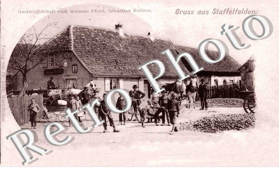 Gruss aus Staffelfelden, Gastwirthschaft zum weissen Pferd, Sebastian Kollros