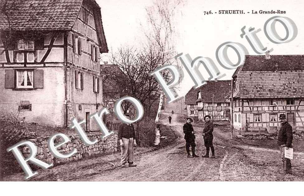 Vue d'un étang