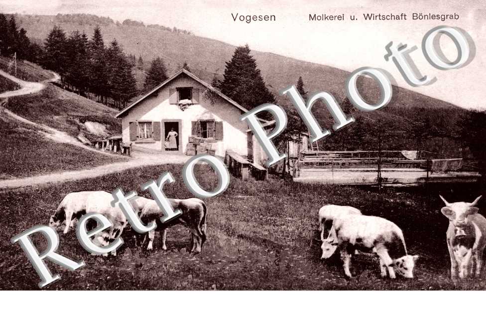 Vogesen - Molkerei u. Wirtschaft Bonlesgrab