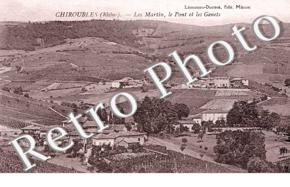 le Martin, le pont et les Genets