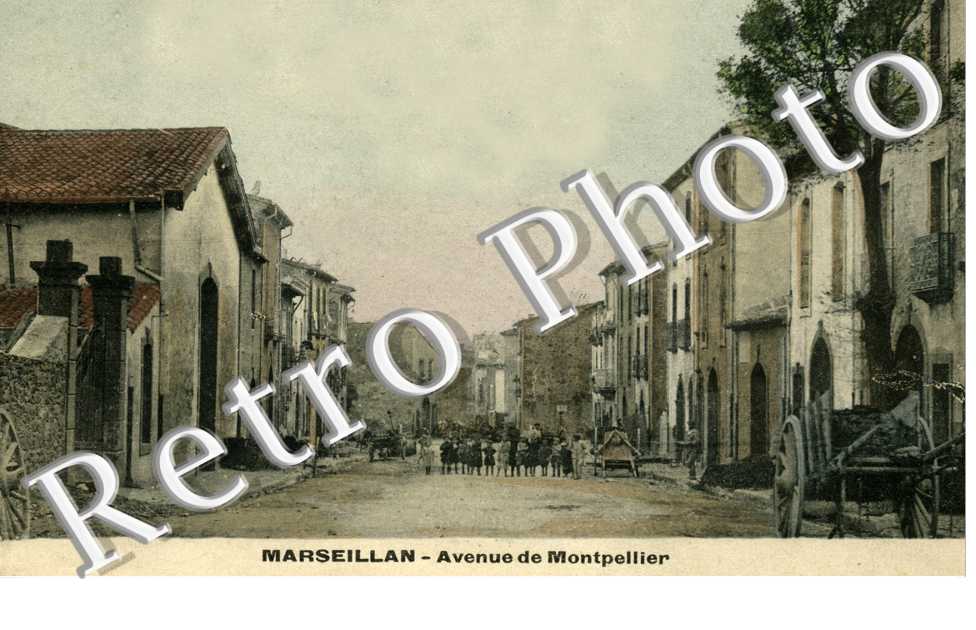 AVENUE DE MONTPELLIER