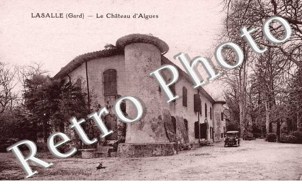 le chateau d'algues