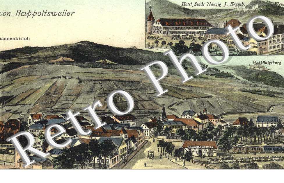 PANORAMA