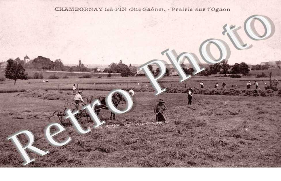 prairie sur l'Ognon