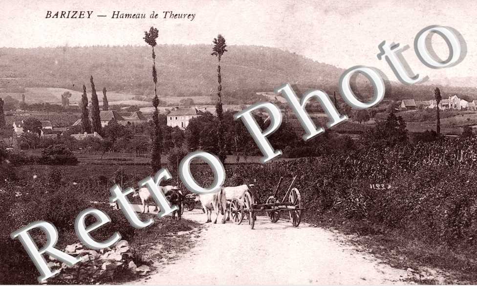 Hameau de Theurey