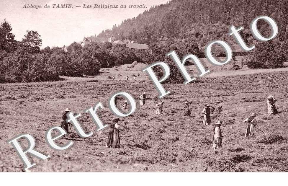 L'Abbaye de Tamie, les Religieux au travail